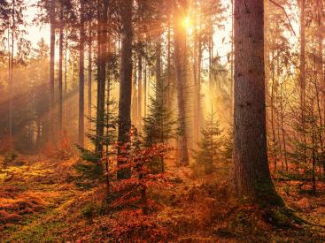 Natursteinarbeiten